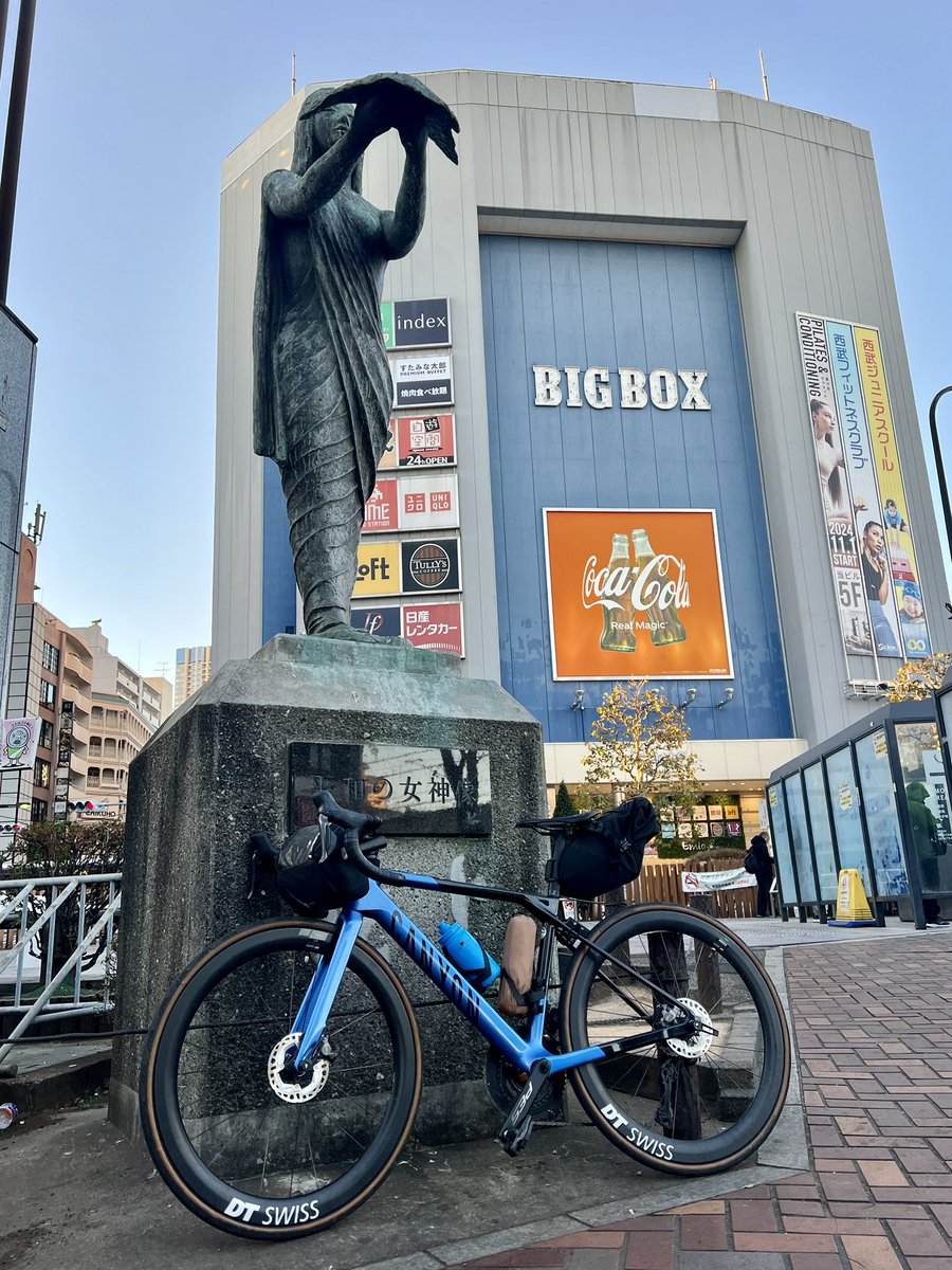 チャフ (@aka_chaf) / Posts / X