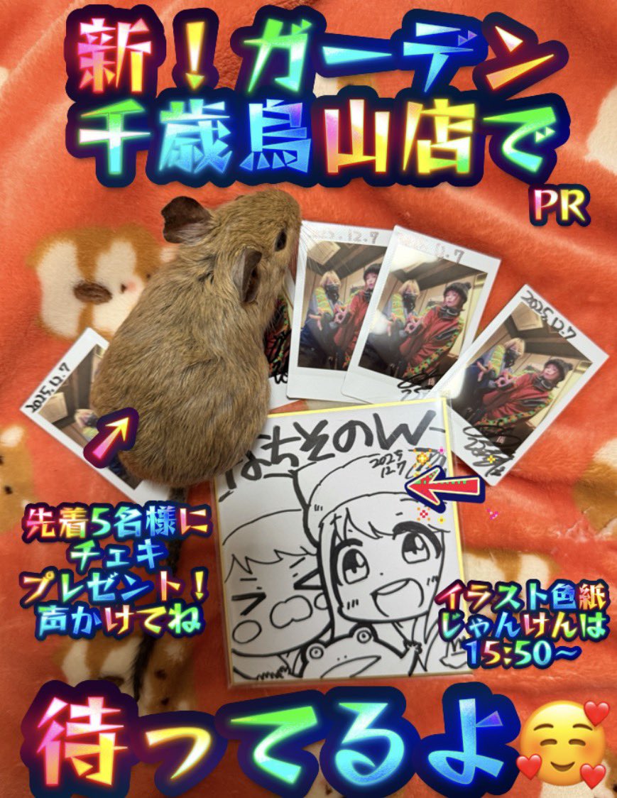 おはまる🥰🫶 おはよって返してくれたらうれしまる❤️ 今日のチェキは