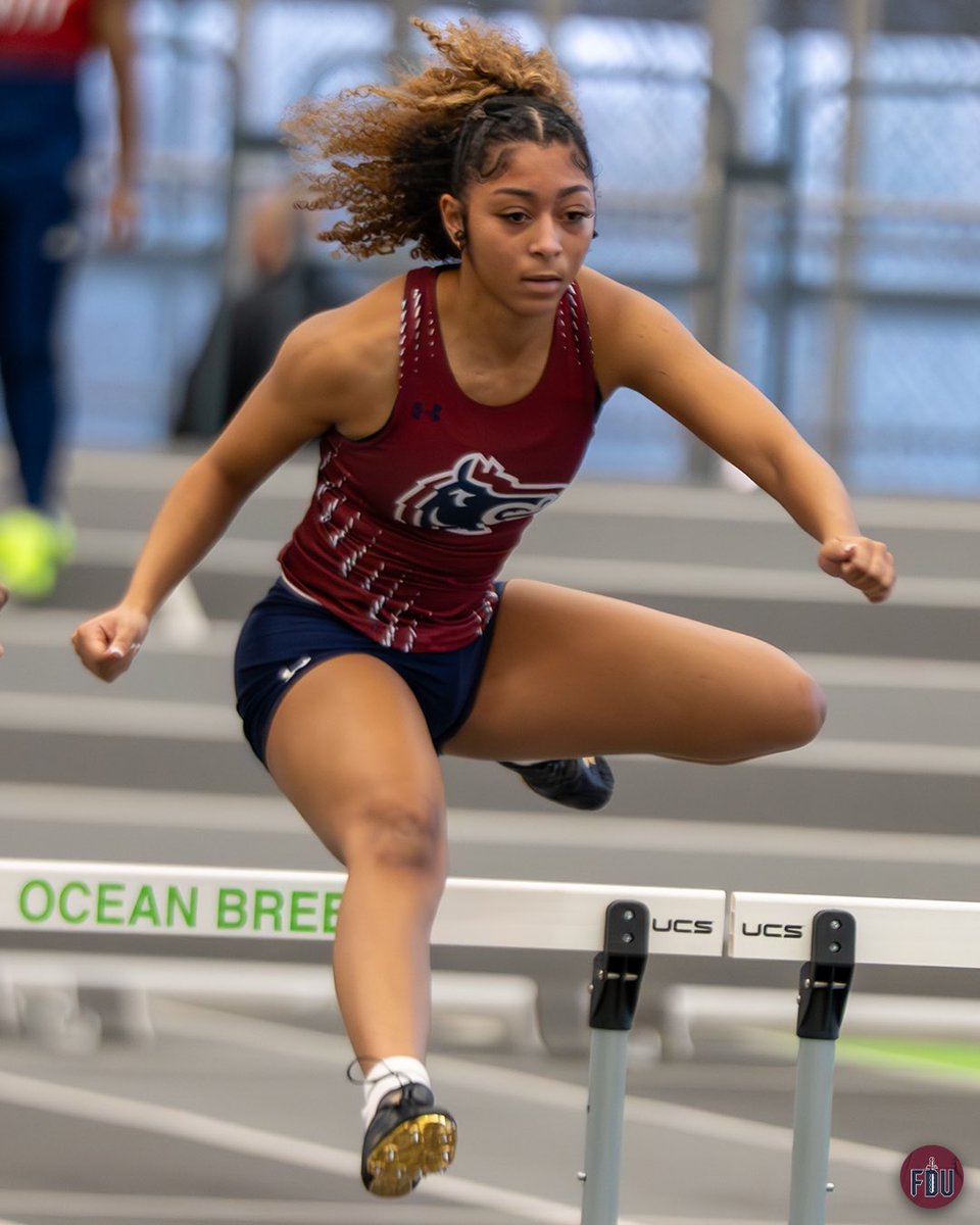 FDU Cross Country / Track and Field tweet media