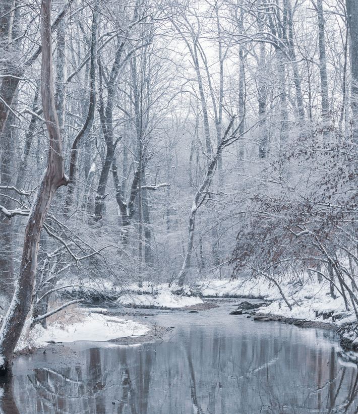 Cheap Ass Gamer tweet media