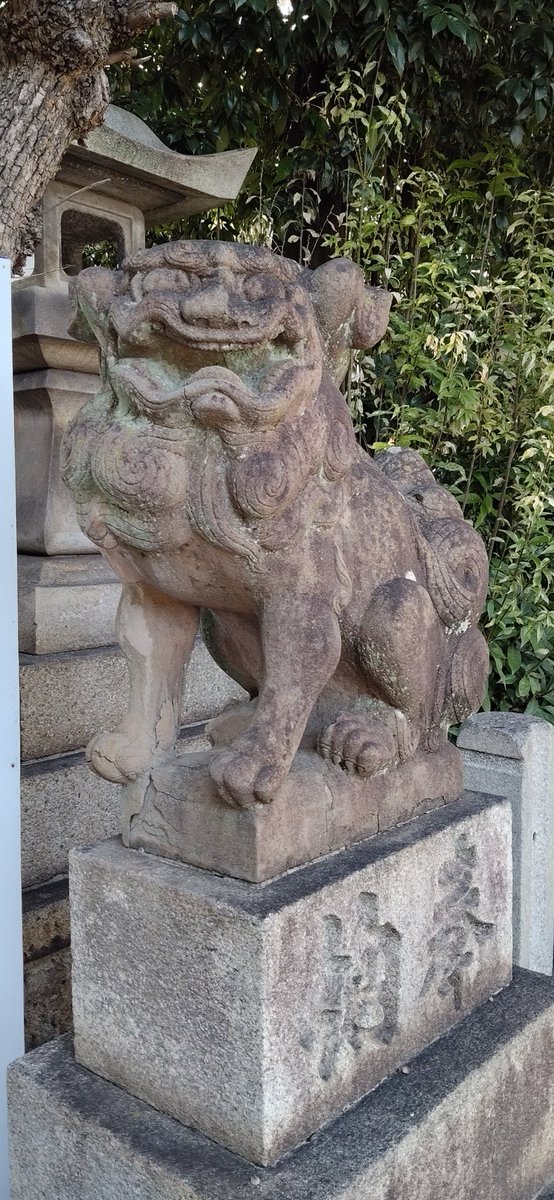 てくてく歩いて観て名古屋（404） 前脚すっきり ＃狛犬 さん。いわば細