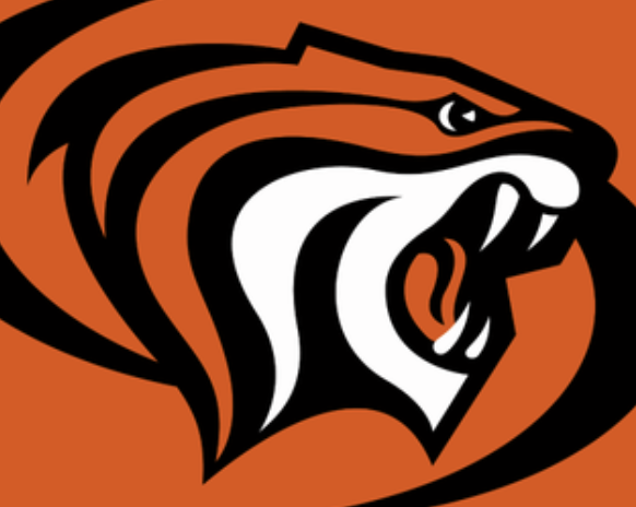 Are we as a society ready to address this depiction of a Tiger