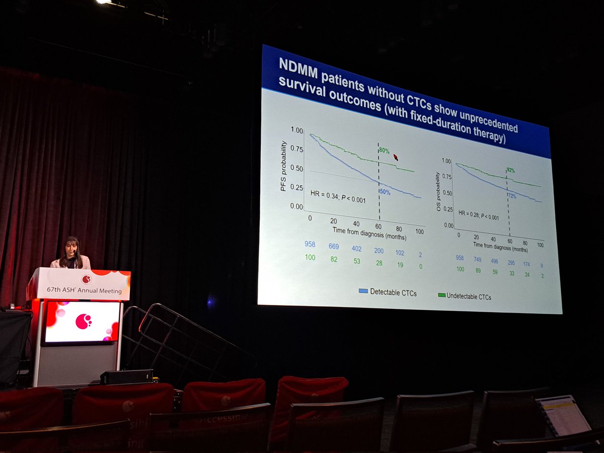 Bruno Paiva tweet media
