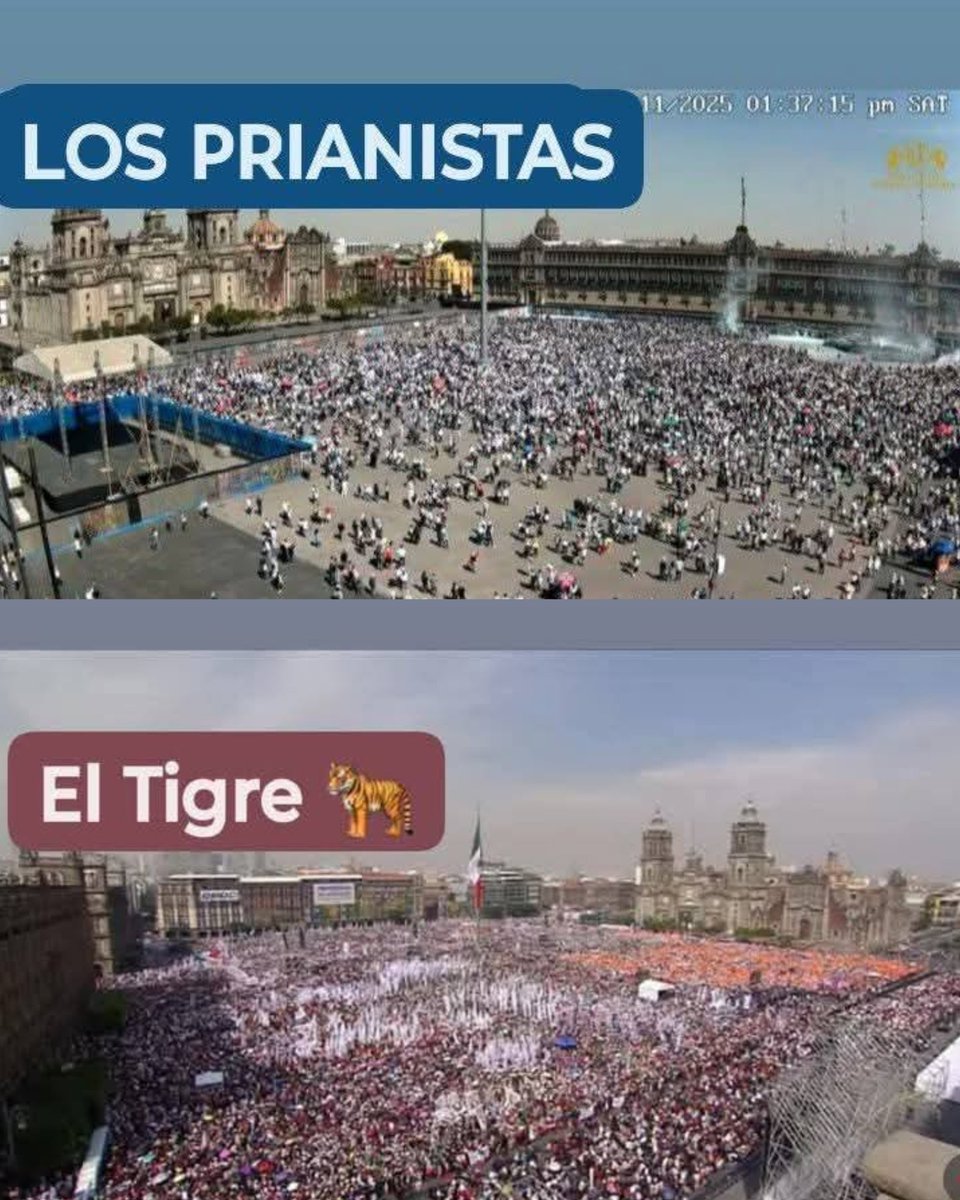 A algunos les queda muy grande el zócalo ! 🇲🇽