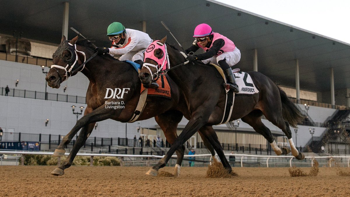 K S A 

الراية البيضاء خافقة في الميادين المحلية و العالمية ❤️⚪️