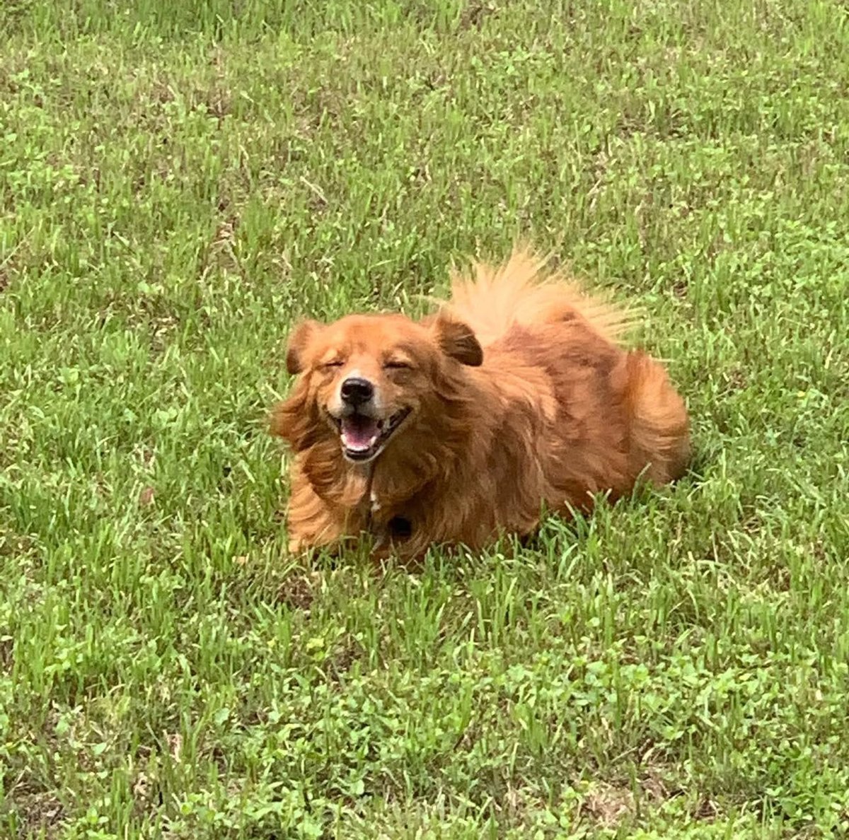 Missing him so much today 💔