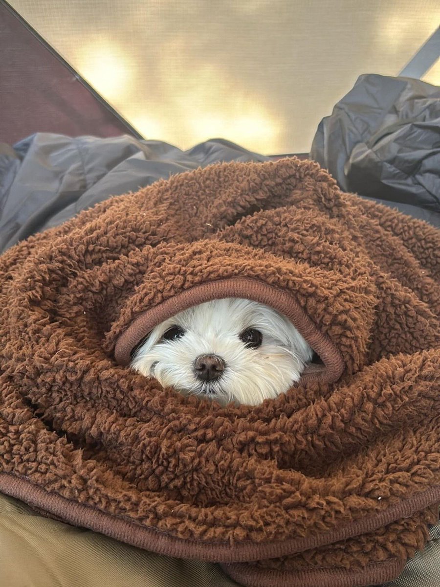 twaniimals's tweet photo. https://t.co/x7zR8Zbmxs