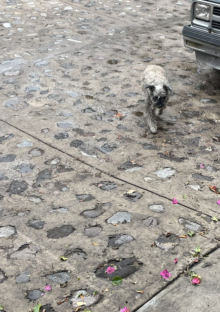 Si ya sé que no me debo de salir (2 horas)… 😑😑😑😑