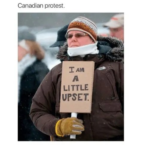Neilfan12's tweet image. 🪧🇨🇦🤏 #Canadian #Protest #Polite 🤏🇨🇦🪧