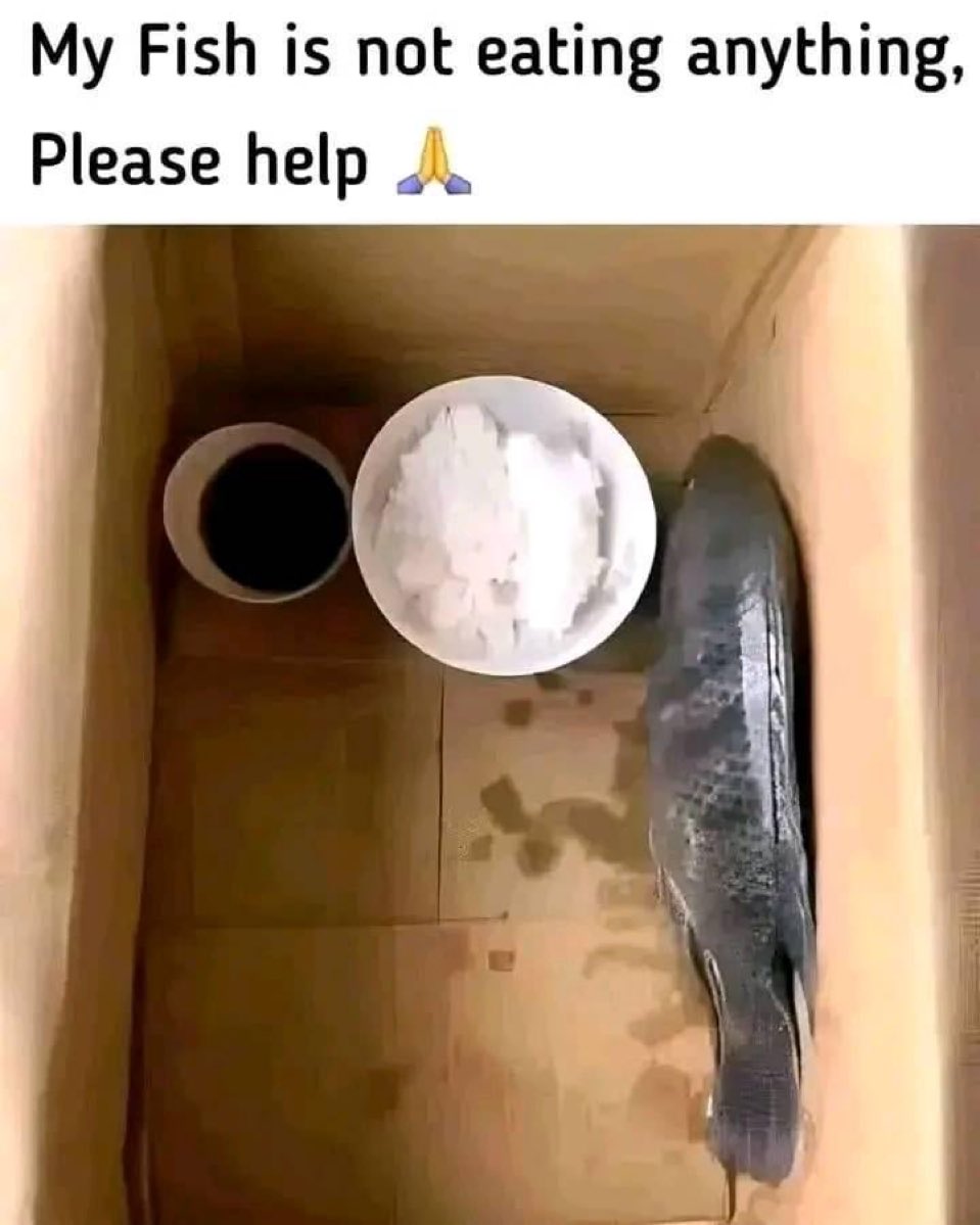 Daily Memes (@thedailymemes_) on Twitter photo 