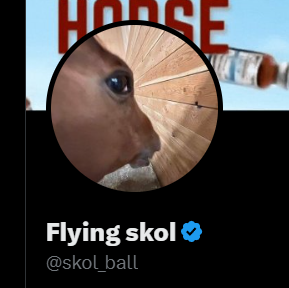 detraderSol's tweet image. We had a rat in our CTO team. While I was sleeping they went ahead and tried to scam everyone into buying their shitter coin. Do not trust this guy.

I am still here ready to push this, going to reapply for fees.

Make sure you help bring everyone over to the new X com