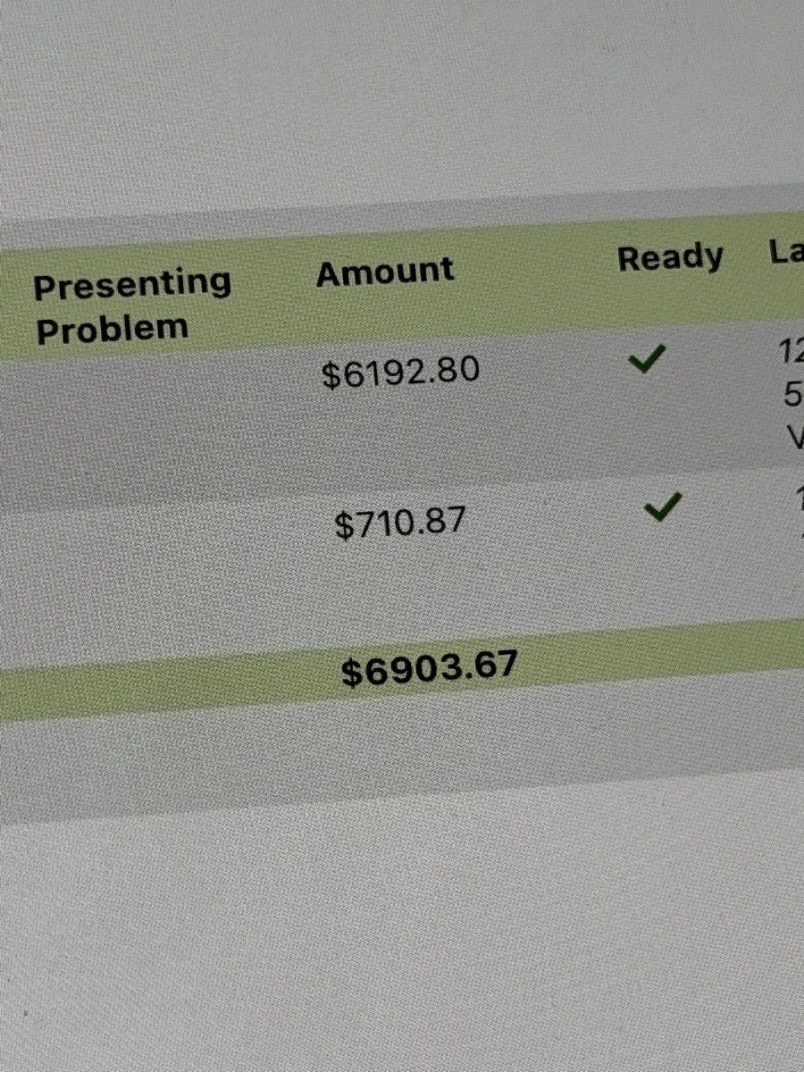 vincent vs his vet bill