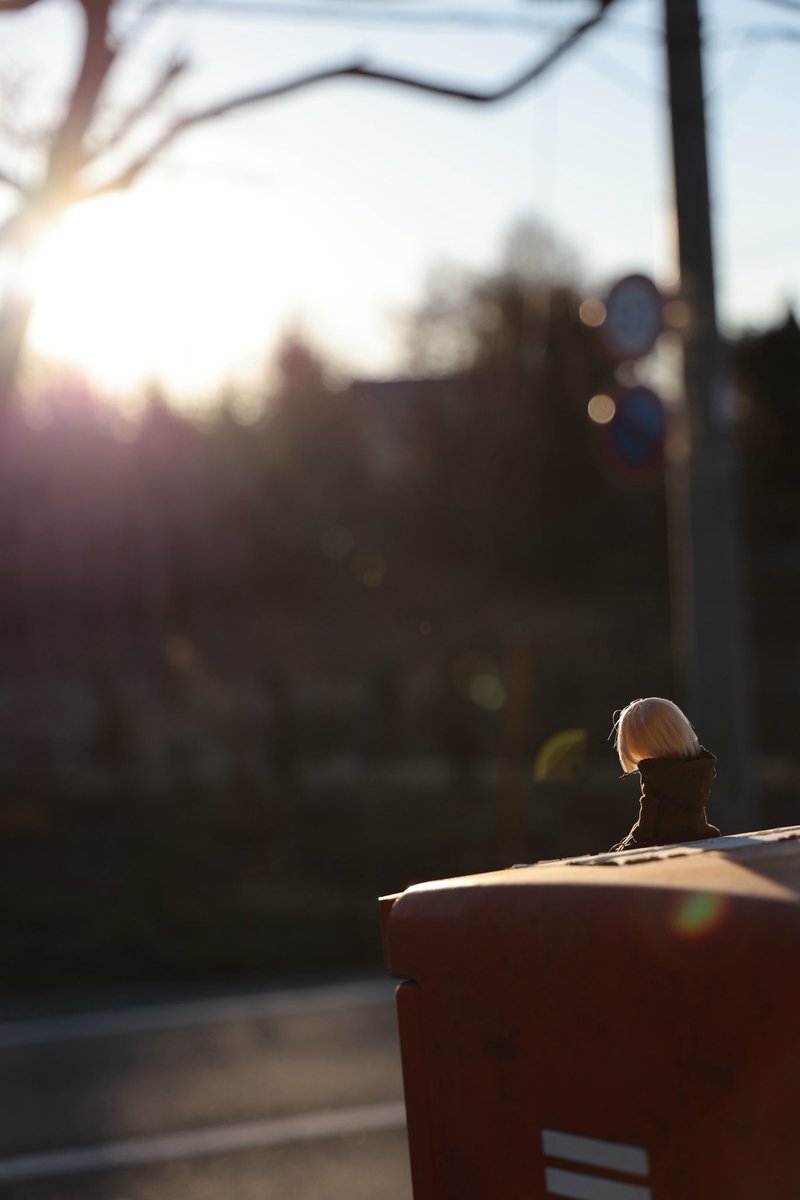 リアムさんと散歩