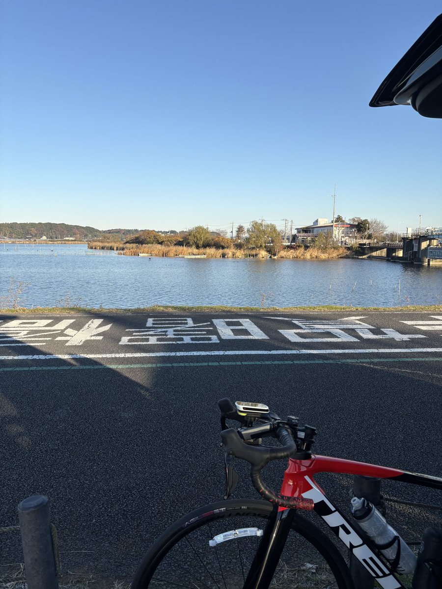 dansan#1233 tweet media