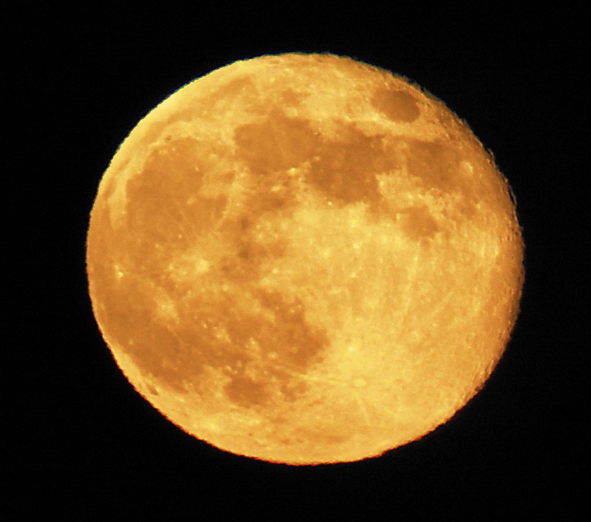 SkinnyAtlasMsic's tweet photo. 12.5.25 98% Waning Gibbous #moon #supermoon #coldmoon #fullmoon #moonphotography https://t.co/2zZHbRnw6R