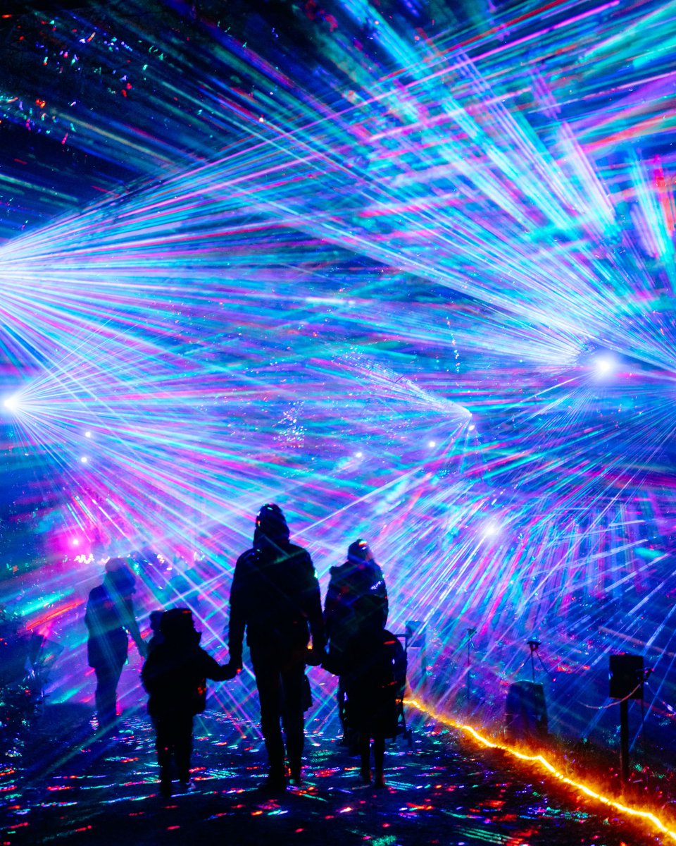 A little sparkle for your scroll ✨ Windsor Great Park Illuminated is looking extra magical tonight ❄️ 

#WindsorIlluminated