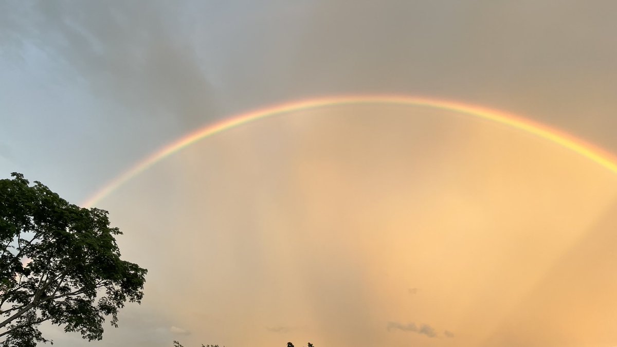 Knowmetry's tweet image. #FadingRainbow