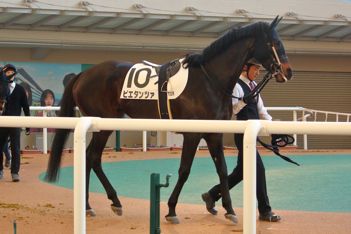 norauma (@norauma5) / Posts / X