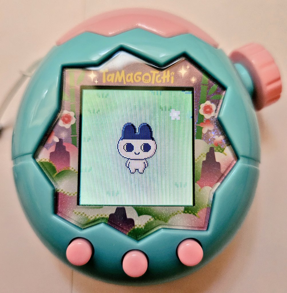 よっちゃん (@y_nw_fs_rabbit) / Posts / X