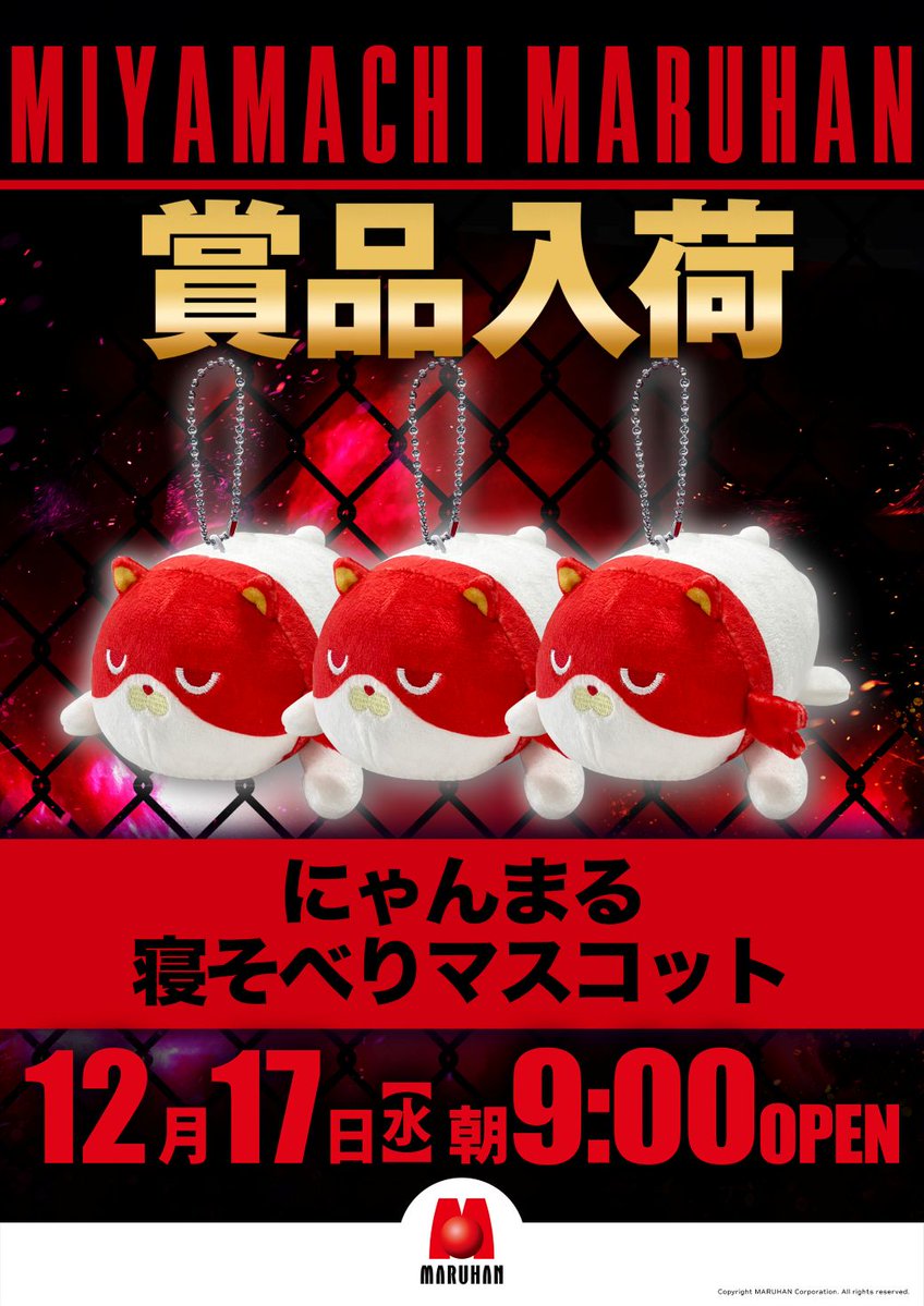 寝そべった姿が可愛い「にゃんまる」賞品入荷してのお出迎えです🐈 ご