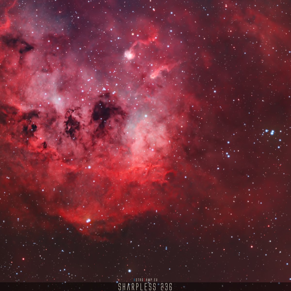 Sharpless 236, also known as Tadpole Nebula, is an emission nebula in Auriga, approx. 2185 ly away and is best observed in Dec.

▼ Baader Apo 95 CaF₂ | SkyEye62AM ’25
© Thomas Hanrath ’25 · CC BY-NC-ND 4.0

astrocamp.eu/en/sharpless-2…

#astrophotography #astronomy #nature #deepsky