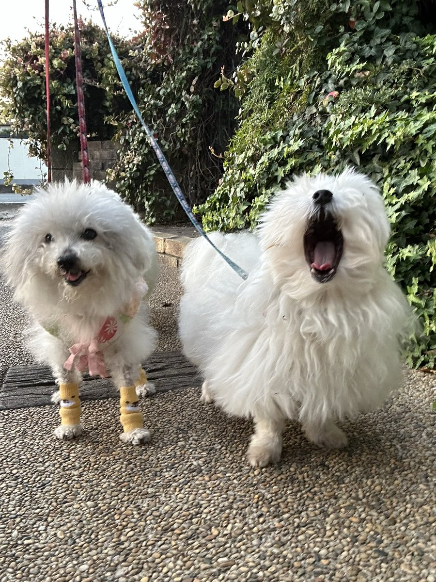 ハルくん (@9Z8lquSv8B3FMpN) / Posts / X