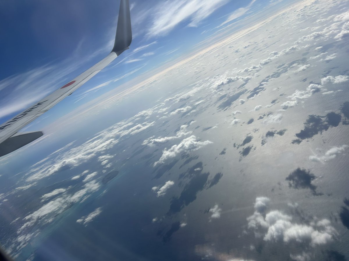 だいち tweet media