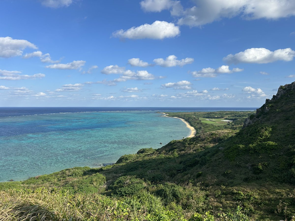 だいち tweet media