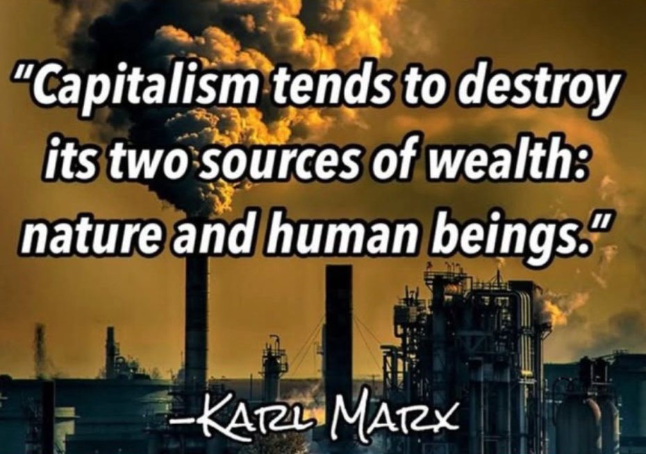 We are witnessing end stage capitalism.  You know, the part where it eats itself