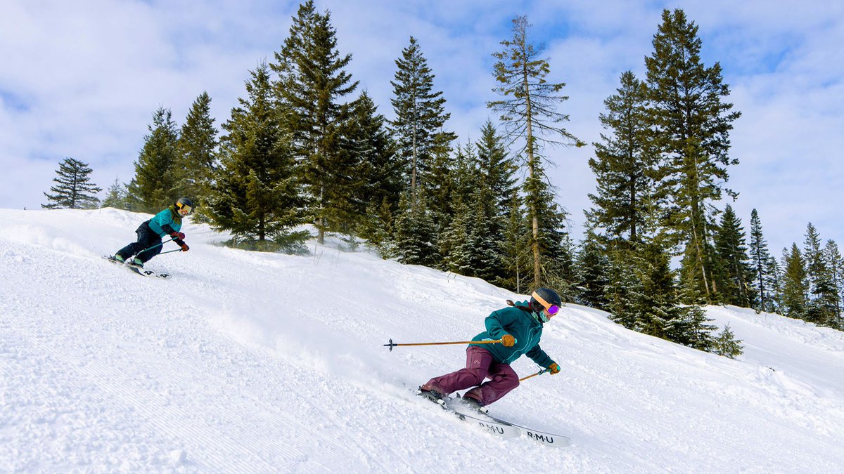 Budget Travel tweet media