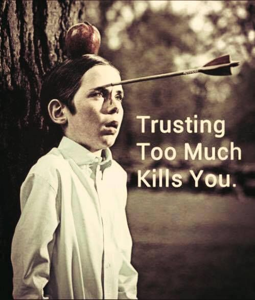 mindfulmaven_'s tweet image. Trust but verify
