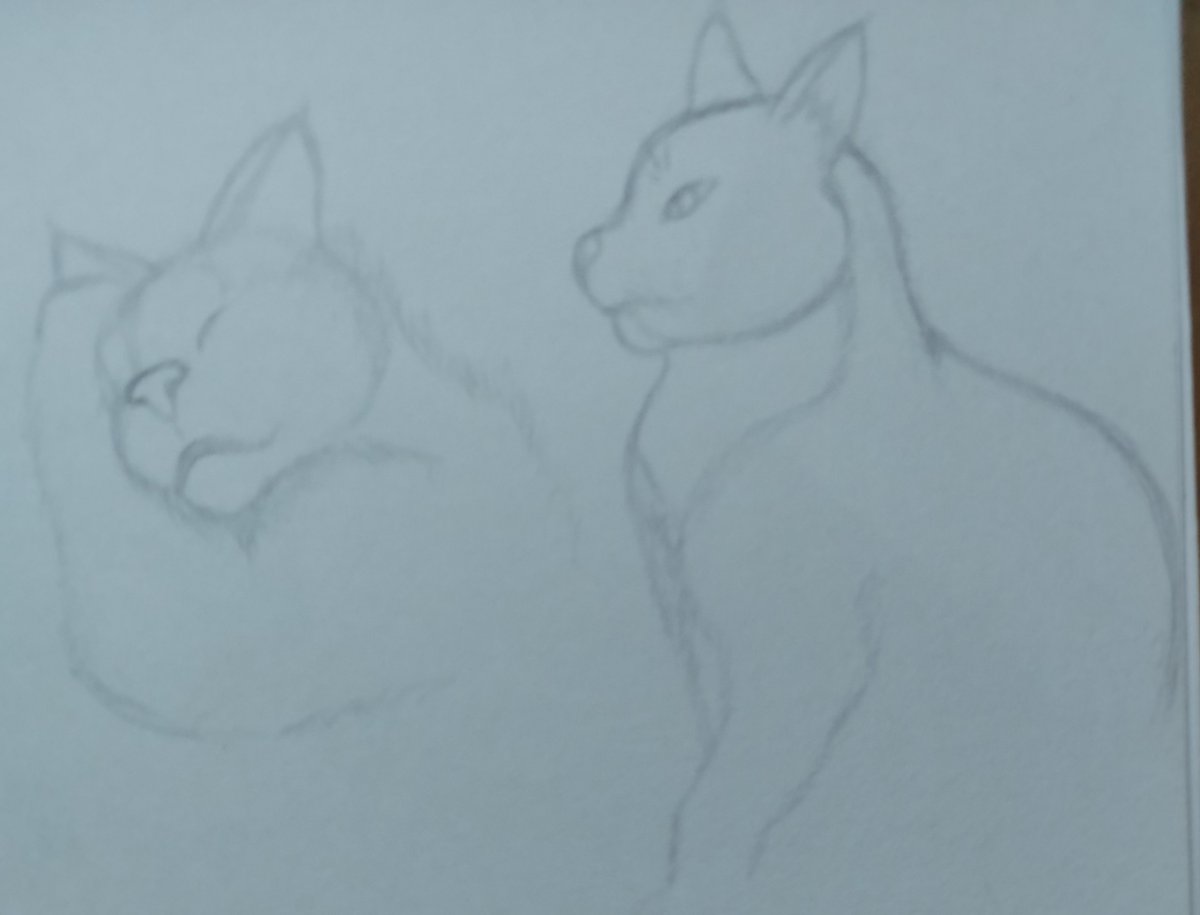 💜Kami💙 tweet media