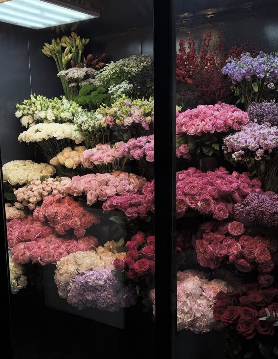 i3Moment's tweet image. 