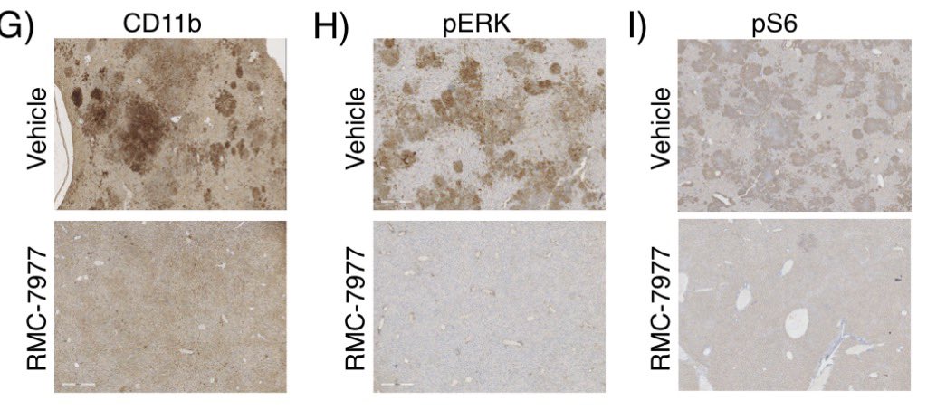 Audrey Lasry tweet media