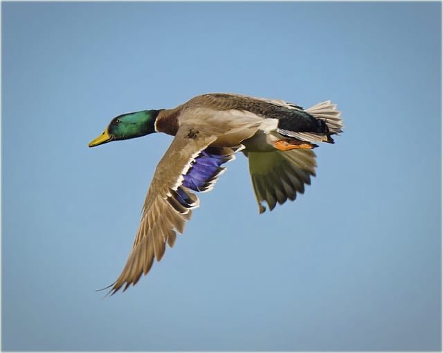 SqualalaPowa's tweet image. 