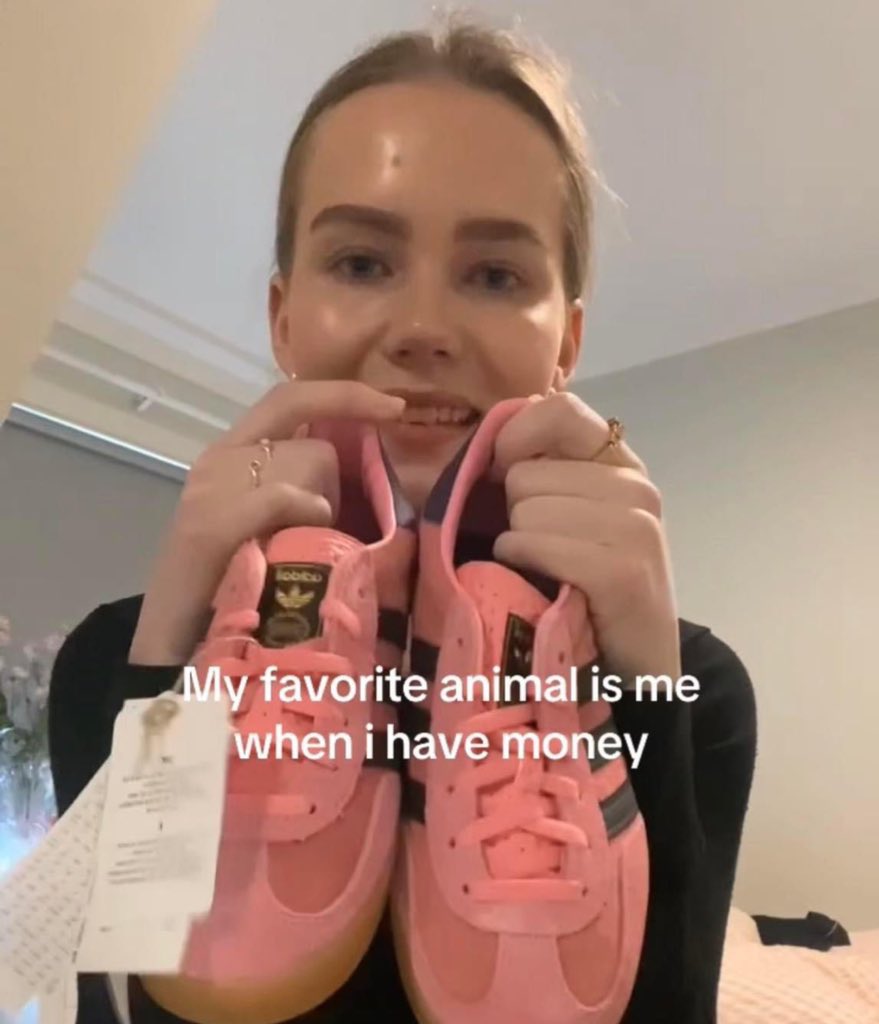 virgobaby (@maybeeevirgo) on Twitter photo 