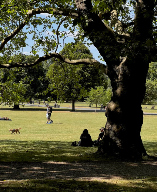 grace11440's tweet photo. Exploring Clissold Park 🌸🇬🇧, where peaceful lakes and vibrant greenery 💛 create the perfect urban escape 🌞🦋 https://t.co/v2747ZZkZy