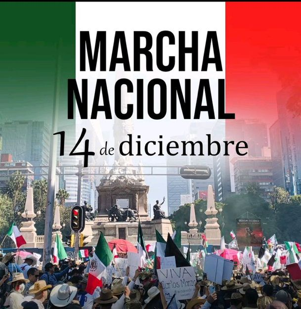 GARCIPAVON's tweet photo. "La fe es dar el primer paso incluso cuando no ves la escalera entera." (Martin Luther King Jr.)

Lista actualizada al día de hoy 6 de diciembre de la convocatoria de Generación Z para la 👇
MARCHA NACIONAL

DOMINGO 14 DE DICIEMBRE

¡¡¡TODOS APOYAMOS A LA GENERACIÓN Z!!!

¡¡¡NO LE DES EL MICRÓFONO A LOS POL��TICOS!!! 
 
🇲🇽 BOCA DEL RIO Por definir 
🇲🇽 CDMX 11:00 am Ángel de la Independencia al Zócalo 
🇲🇽 CHIHUAHUA 10:00 am Glorieta de Pancho Villa a Palacio de Gobierno 
🇲🇽 COLIMA 10:00 am Del Jardín Núñez al Jardín Libertad 
🇲🇽 LEÓN 11:00 am Del Arco de la Calzada al Jardín Principal 
🇲🇽 MADRID 12:00 pm Calle María de Molina casi esquina con Pinar, frente a la Embajada de México en Madrid 
🇲🇽 MÉRIDA 9:00 am Del Remate de Montejo al Monumento a la Patria 
🇲🇽 QUERÉTARO 10:00 am De la Alameda a Plaza de Armas 
🇲🇽 TAMPICO 11:00 am Plaza de Armas 
🇲🇽 TUXTLA GUTIÉRREZ 9:00 am Del Parque Bicentenario a Palacio de Gobierno 
🇲🇽 VERACRUZ Por definir
🇲🇽 XALAPA 11:00 am Plaza Lerdo
🇲🇽 ZAMORA 11:00 am Glorieta 5 de Mayo