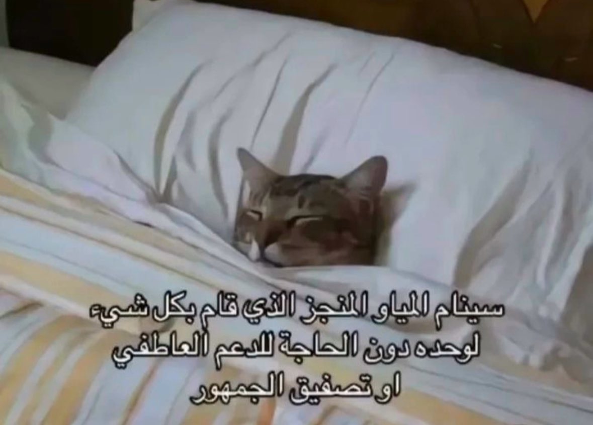 prettiiygirll's tweet image. 2:30AM 
جااهدت جهاد عشان انام لكن المخ شغّال 
قلت خل اشغله باللي يفيده وقمت اطبق الشي الجديد اللي تعلمته اليوم 
الـ Foreign key .

#data_analysis #تحليل_بيانات