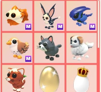 ^°Ani°^🧁🌌🌷🐨🐾🐭 tweet media