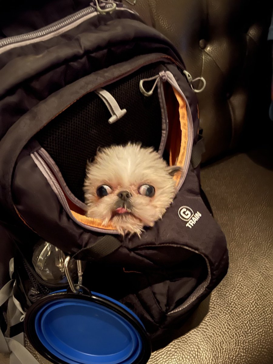 thisismycryptoname.eth tweet media