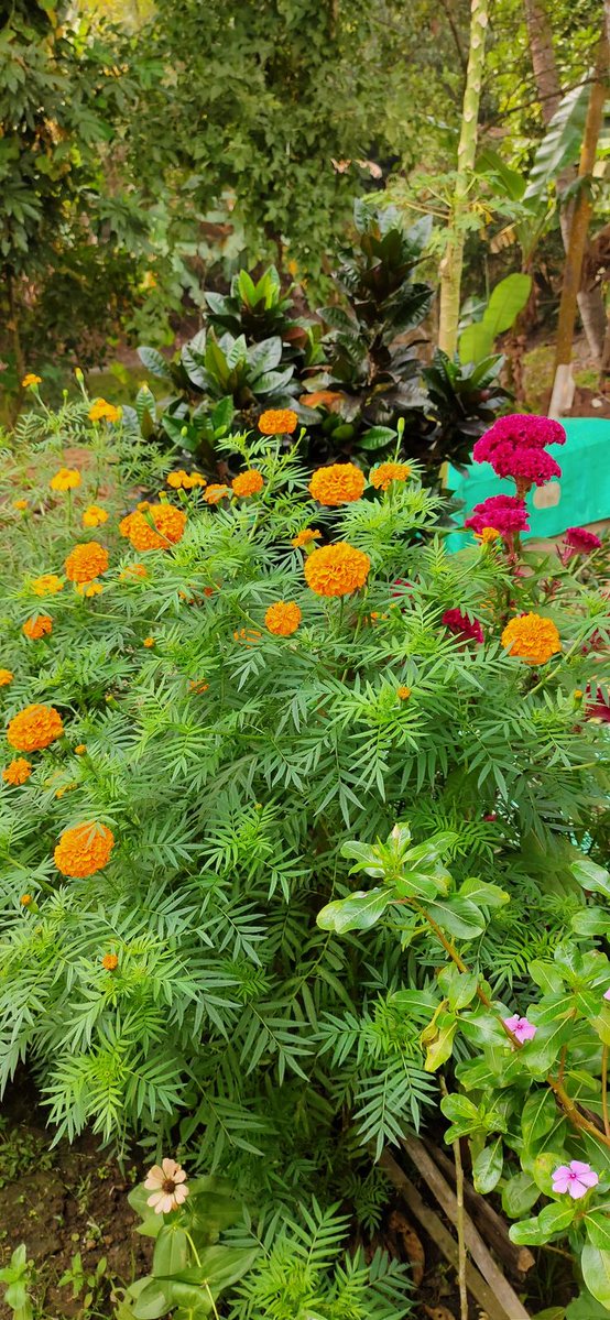 जीवन के हर क्षण को ऐसे जियो मानो वही अंतिम हो, क्योंकि समय की किताब में अगला पन्ना किसने देखा हैं 
सु प्रभात l Good morning