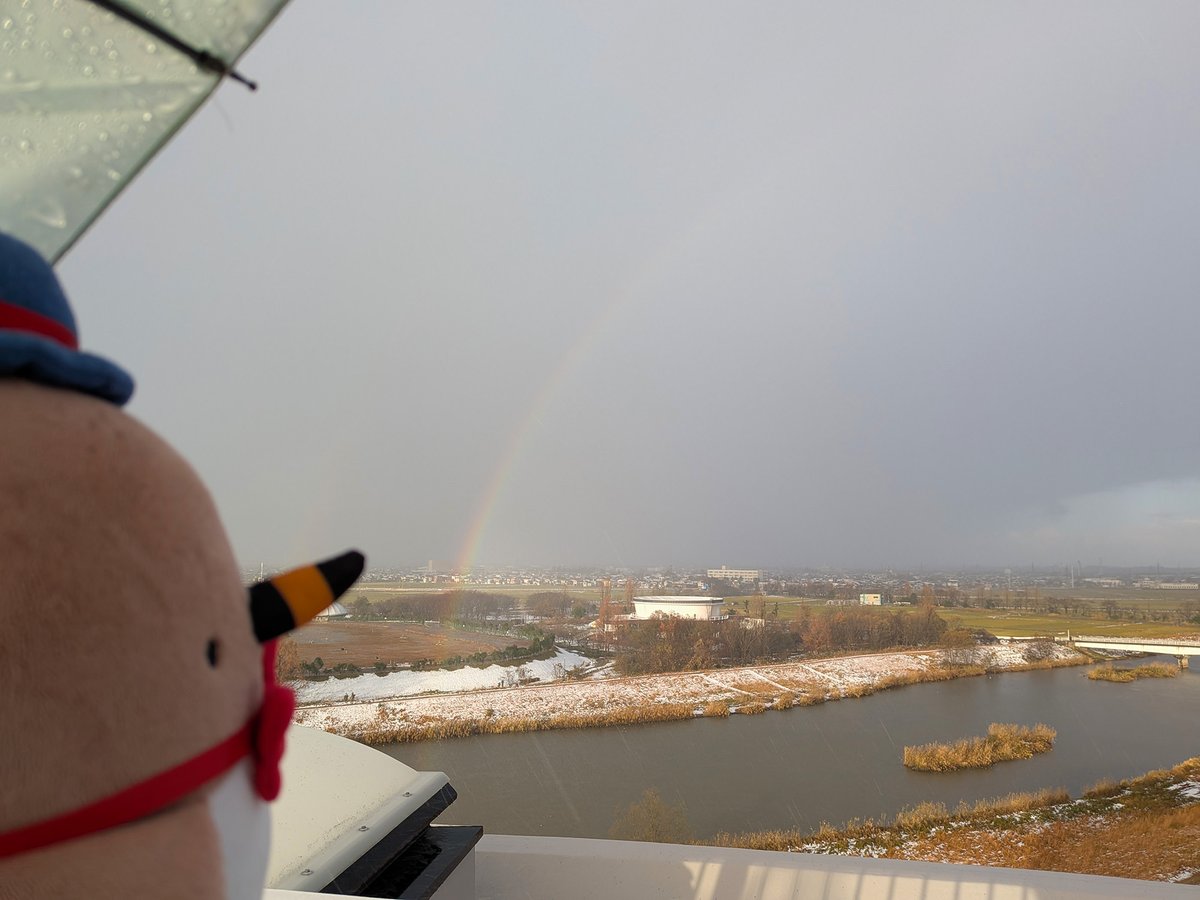 おはようクイ！
朝ビューの屋上から虹が見えたクイ🌈✨

#クイクイ #福島潟