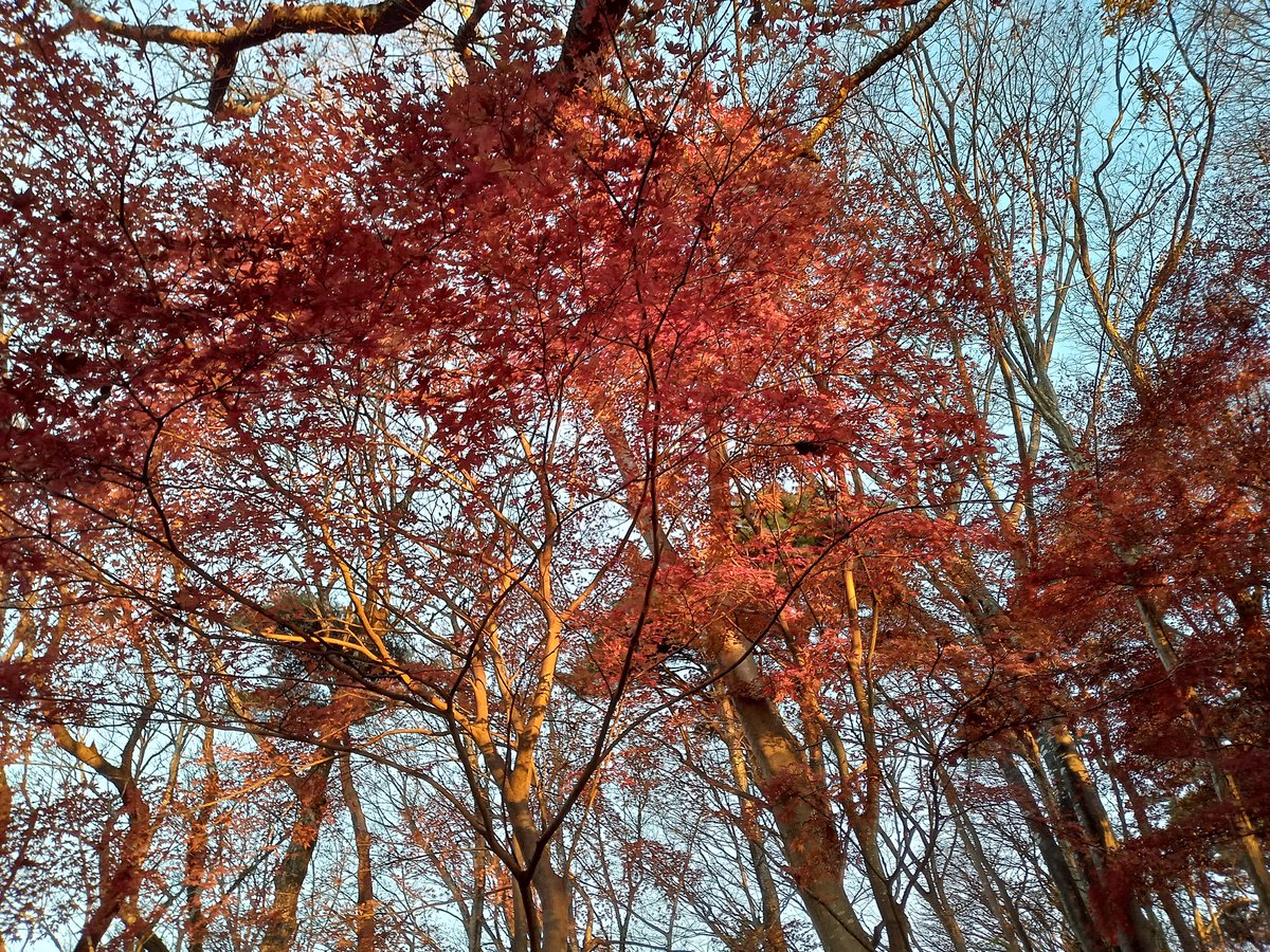 Senba_39's tweet image. 気温0℃でもジーパンTシャツ親父