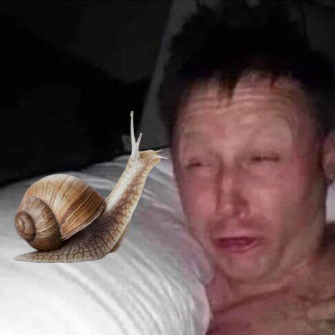 kilib.caw tweet media