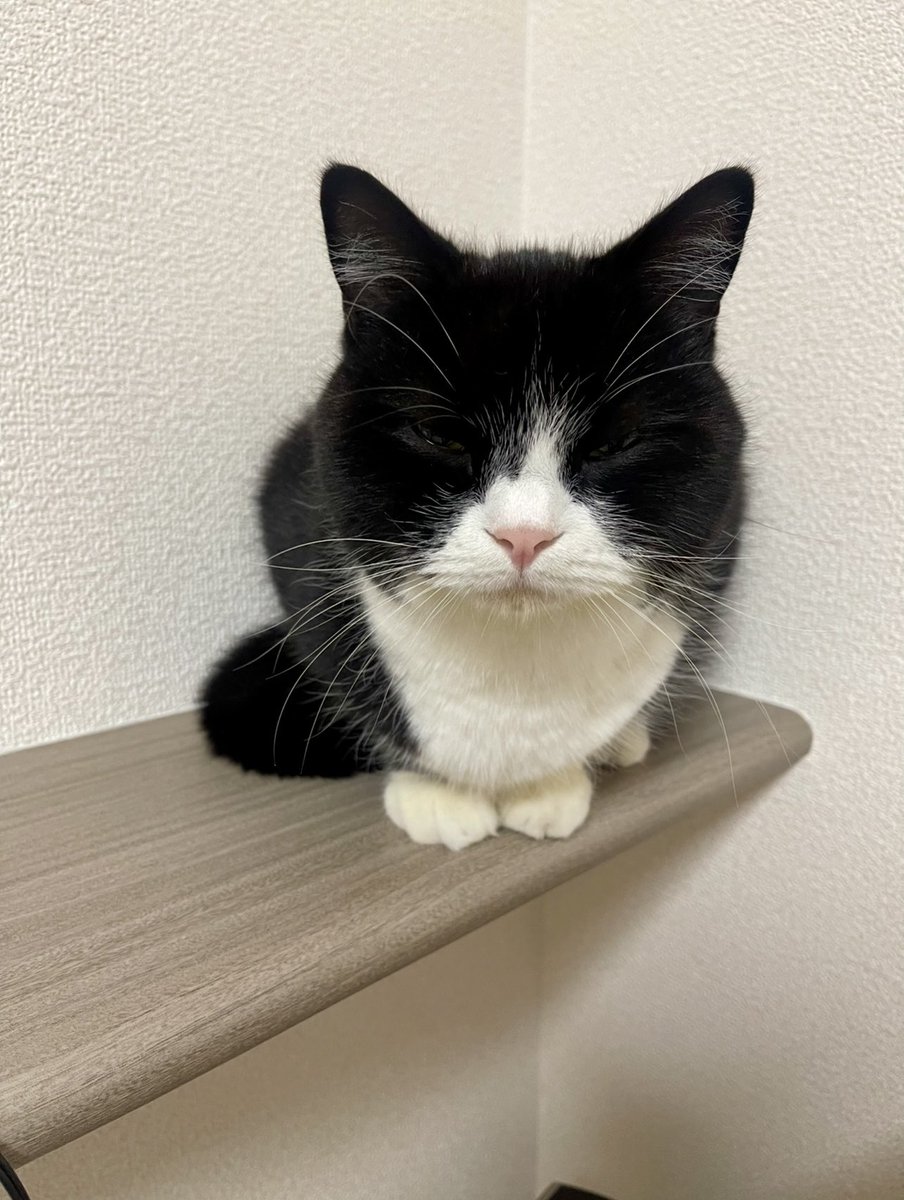 たろうさページ おはよう！たろう！