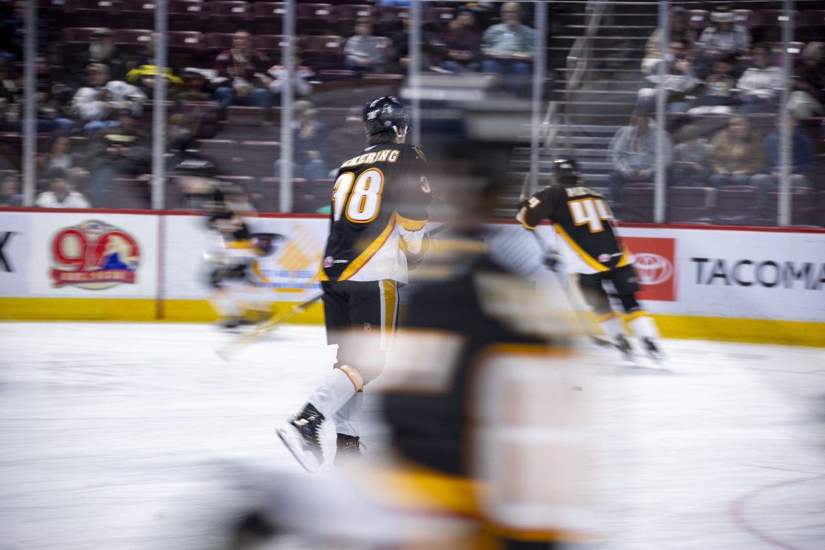 WBSPenguins's tweet photo. They’re even better in action https://t.co/U1goO1dgyM