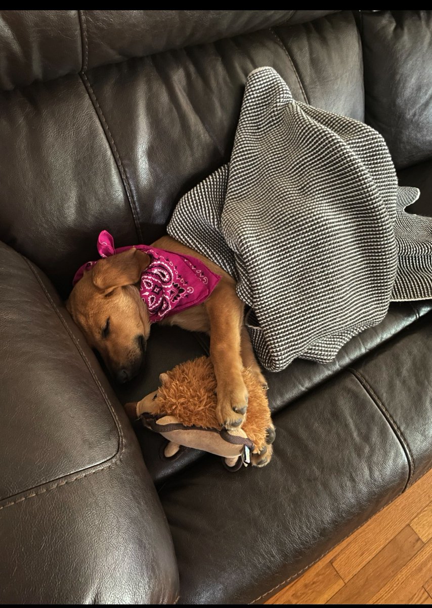 PosterDunk🥜 tweet media