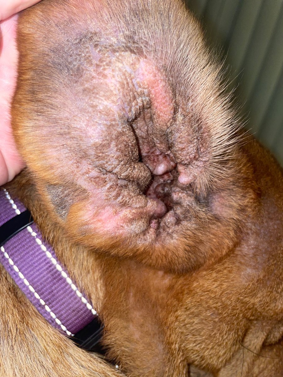 PosterDunk🥜 tweet media