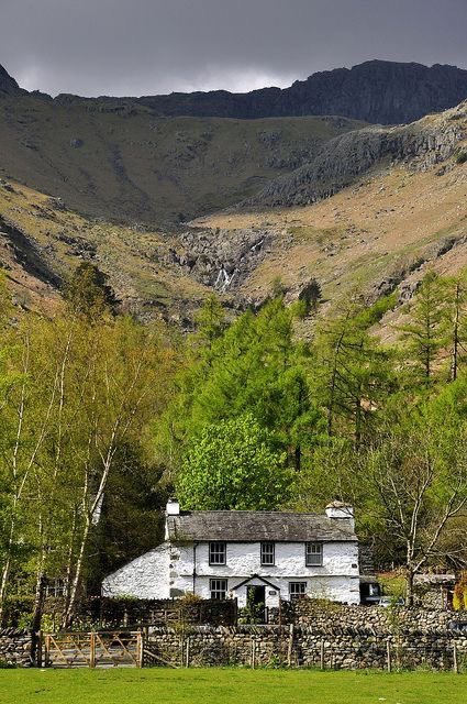 Catholic Land Movement tweet media